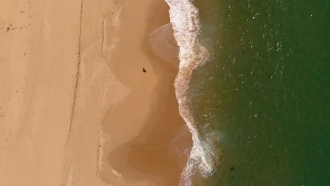 Aerial View Waves Breaking On Sandy Beach Tracking with Person Stock Footage 99019803