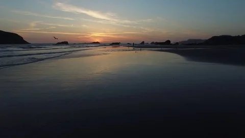 Aerial View of Waves Lapping and Birds Flying Along Shoreline at Sunset Stock Footage 71160915