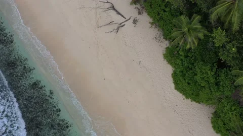 Aerial view of waves, sand, sea and forest Praslin Seychelles Stock Footage 153283077