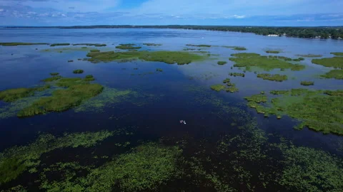 Aerial view of weeds marshes on the surface during summer and distant coast.. Stock Footage 346310582