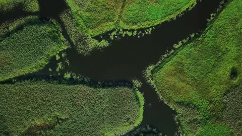Aerial view of wetland Stock Footage 118004791