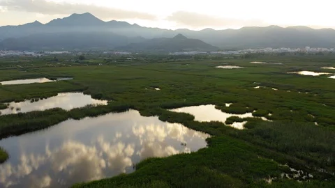 Aerial view wetland in valencia spain Stock Footage