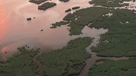 Aerial view of wetlands Stock Footage 312646172
