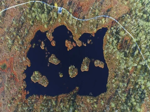 Aerial view of the wetlands swamp. Beautiful nature landscape. Stock Footage