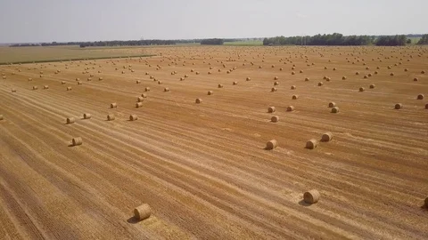 Aerial View Wheat Field After Harvest with Hay Bales and Highway Stock Footage 101300404
