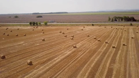 Aerial View Wheat Field After Harvest with Hay Bales and Highway Stock Footage 101300455