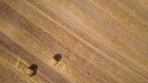 Aerial View Wheat Field After Harvest with Hay Bales and Highway Stock Footage 101300470