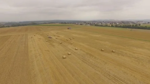 Aerial View Wheat Field After Harvest with Hay Bales Stock Footage 101302166