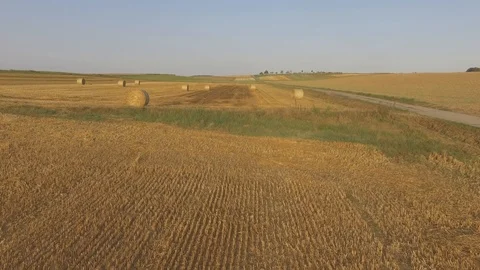 Aerial View Wheat Field After Harvest with Hay Bales Stock Footage 101302256