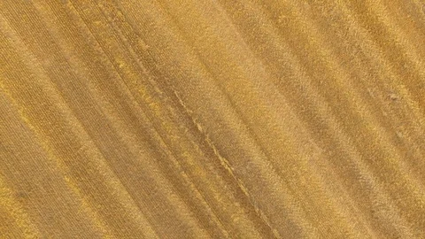 Aerial View Wheat Field After Harvest with Hay Bales Stock Footage 101302346