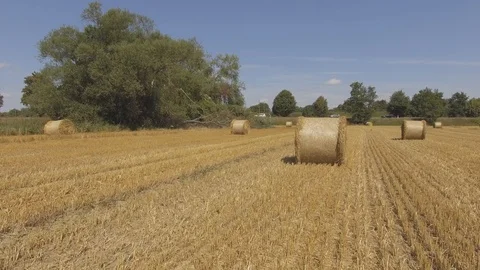 Aerial View Wheat Field After Harvest with Hay Bales Stock Footage 101302388