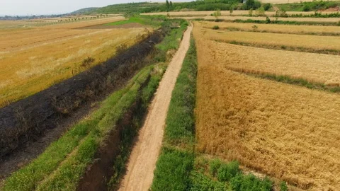 Aerial view of Wheat field and village,Xi'an,China. Stock Footage 88485026
