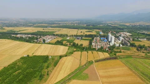 Aerial view of Wheat field and village,Xi'an,China. Stock Footage 88485099