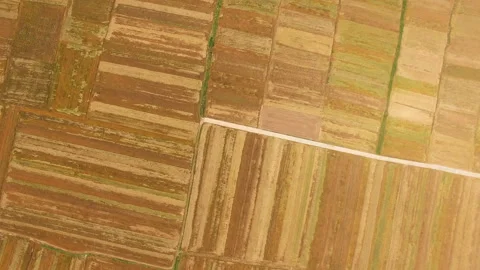 Aerial view of Wheat field and village,Xi'an,China. Stock Footage 88486891