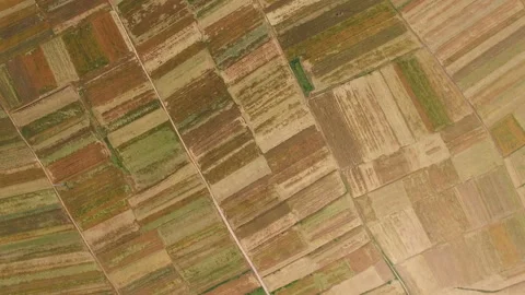 Aerial view of Wheat field and village,Xi'an,China. Stock Footage 88492852