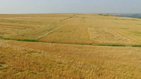 Aerial view of Wheat field and village,Xi'an,China. Stock Footage 88502149