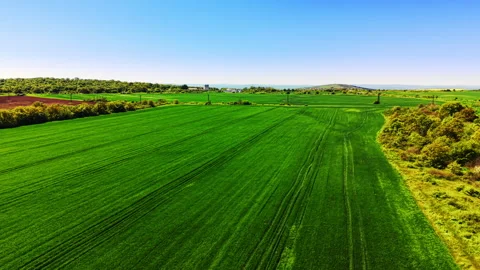 Aerial view of wheat field with bare soil patch, Bulgaria Stock Footage 339010535