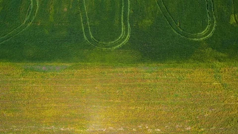 Aerial view of wheat field Stock Footage 119332868