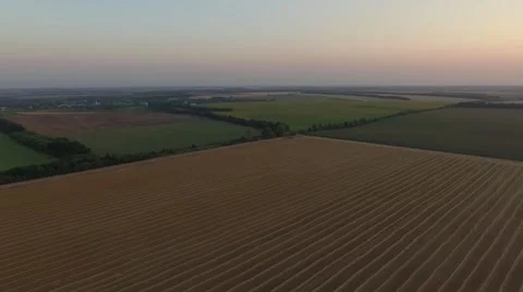 Aerial view of wheat field at sunset Stock Footage 65251918