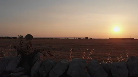 Aerial view of a wheat field taking off behind a wall, Sicily, Italy, 4K Stock Footage 111758501