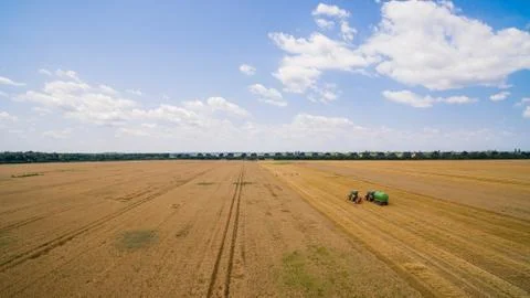 Aerial view of wheat field width  tractor and workers Stock Photos
