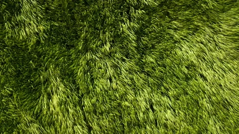 Aerial view of a wheat field, the wind shakes the ears in slow motion Stock Footage 156807314