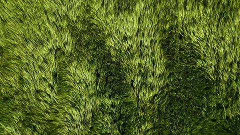 Aerial view of a wheat field, the wind shakes the ears in slow motion Stock Footage 156807457