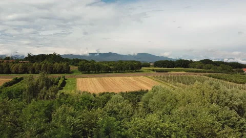 Aerial view of wheat fields and vineyards near Como - Lombardy - Italy Vidéo 138112065