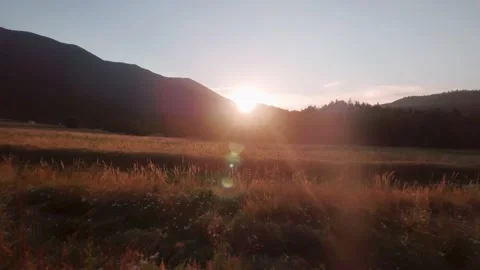 Aerial view of wheat fields during scenic sunset Video stock 148998914