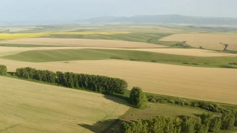 Aerial view of wheat fields on the Norwegian plains. Stock Footage 138296412