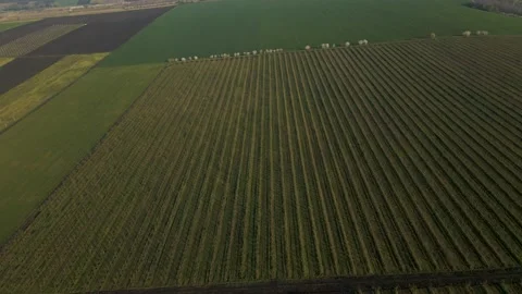 Aerial view of wheat fields on the Norwegian plains. Video stock 153534246