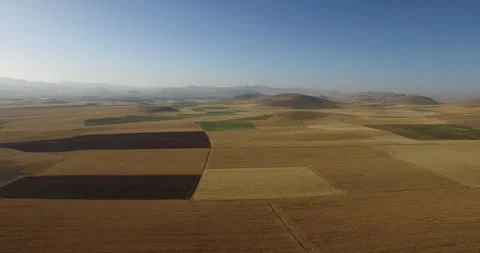 Aerial View of Wheat Harvest in Progress Stock Footage 292239749
