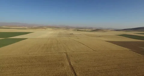 Aerial View of Wheat Harvest in Progress Stock Footage 292241907