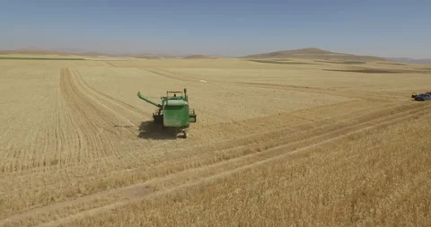 Aerial View of Wheat Harvest in Progress Stock Footage 292263745