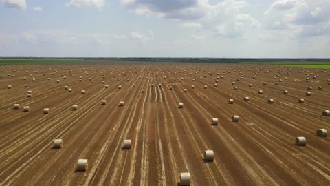 Aerial view of wheat rolls of straw in angricultural field Stock Footage 157759671