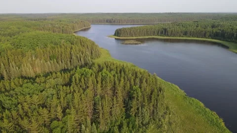 Aerial view while drone flies slowly forward over a vast northern forest with a Stock Footage 326831135