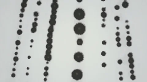 Aerial view. White abstract background with black circles. A frozen lake with Stock Footage 85986147