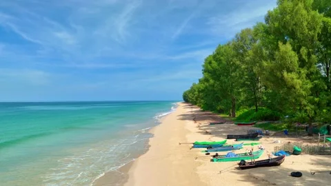 Aerial view White beach with pine trees stretching as far as the eye can see. Video stock 235662246