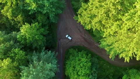 Aerial view of a white car driving on a dirt road through lush... Stockbeeldmateriaal 341894253