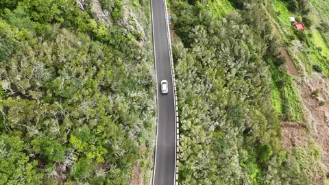 Aerial view of a white car navigating a winding road through lush green hills Video stock 331822757