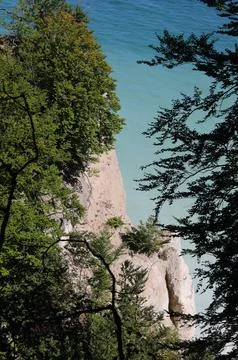 Aerial view of white cliffs overlooking green plants and clear sea Stock Photos