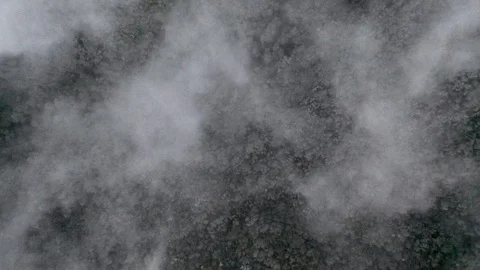 Aerial view of white clouds flying above forest. Drone video of trees from the Stock Footage 120048295