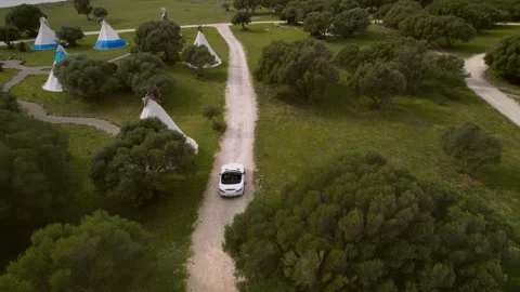 Aerial view White convertible drive through a trees on the background of wigwams Stock Footage 260220532