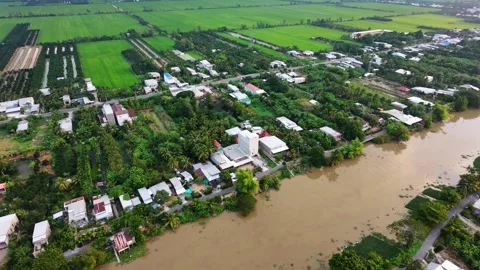 Aerial View of White Egrets Flying Across River and Village Stock-Footage 343606702