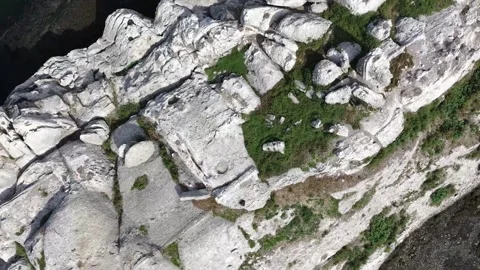 Aerial view of a white eroded Silurian rock with minimal vegetation. Video stock 345278902