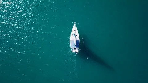 Aerial view of a white Sail yacht in the calm mediterranean sea Stock Footage