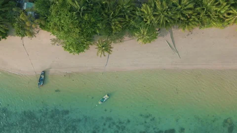 Aerial view white sand beach wave with coconut tropical tree forest Stock Footage 257297702