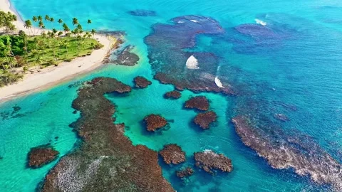Aerial view of white sand beach, palm trees and ocean with corals. Stock Footage 335888727