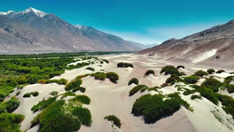 Aerial view of white sand dunes with green bushes in nubra valley ladakh Stock Footage 343696320