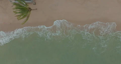 Aerial view white sand on seab each wave with coconut tropical tree Stock Footage 260385348